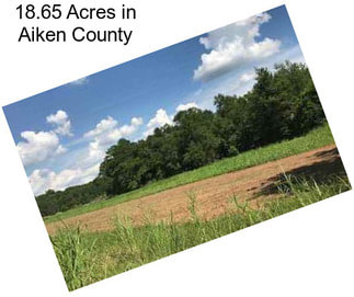18.65 Acres in Aiken County