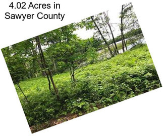 4.02 Acres in Sawyer County