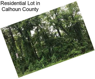 Residential Lot in Calhoun County