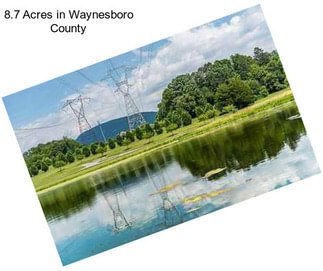 8.7 Acres in Waynesboro County