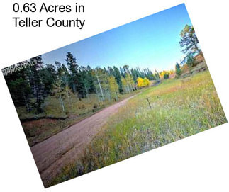 0.63 Acres in Teller County