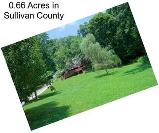 0.66 Acres in Sullivan County