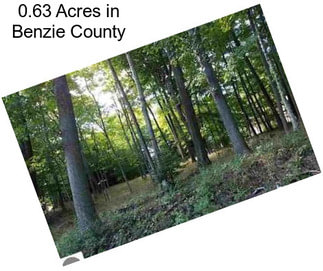 0.63 Acres in Benzie County