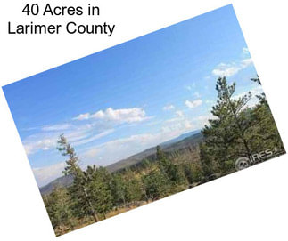 40 Acres in Larimer County
