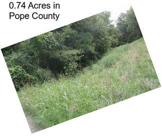 0.74 Acres in Pope County