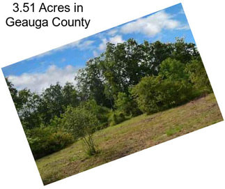 3.51 Acres in Geauga County