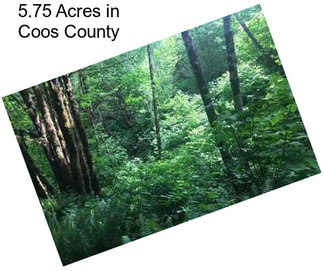 5.75 Acres in Coos County