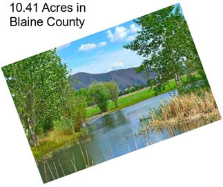 10.41 Acres in Blaine County