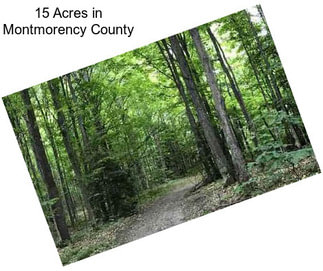 15 Acres in Montmorency County