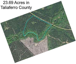 23.69 Acres in Taliaferro County