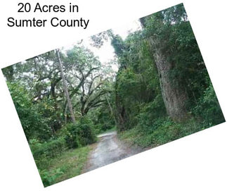 20 Acres in Sumter County