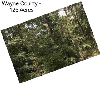 Wayne County - 125 Acres