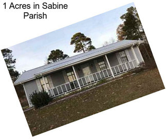 1 Acres in Sabine Parish