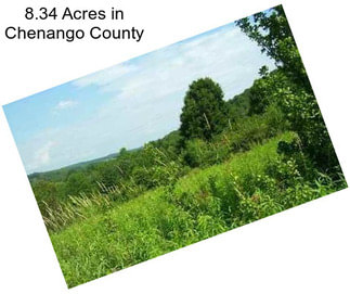 8.34 Acres in Chenango County