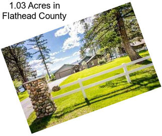 1.03 Acres in Flathead County