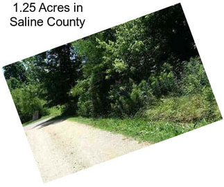 1.25 Acres in Saline County