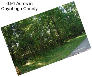 0.91 Acres in Cuyahoga County