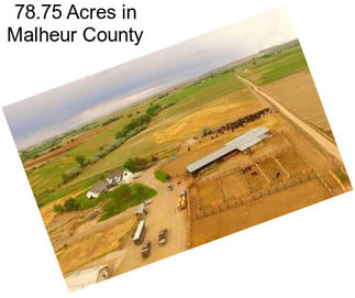 78.75 Acres in Malheur County