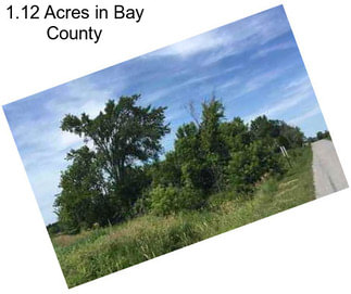 1.12 Acres in Bay County