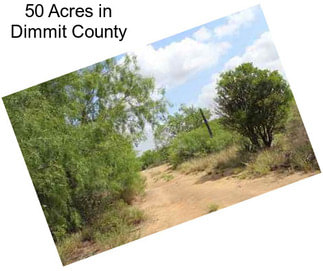 50 Acres in Dimmit County