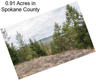 0.91 Acres in Spokane County