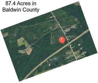 87.4 Acres in Baldwin County