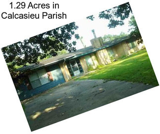 1.29 Acres in Calcasieu Parish