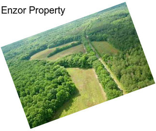 Enzor Property