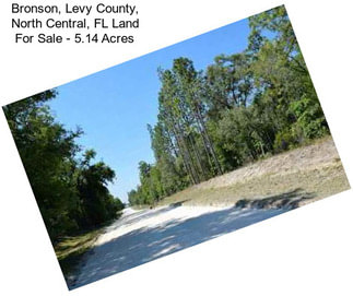 Bronson, Levy County, North Central, FL Land For Sale - 5.14 Acres