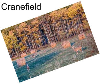 Cranefield