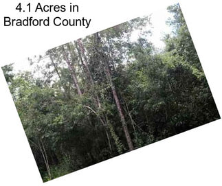 4.1 Acres in Bradford County