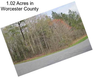 1.02 Acres in Worcester County