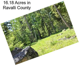 16.18 Acres in Ravalli County