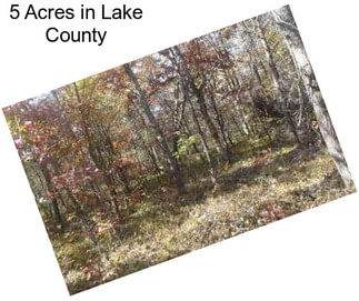 5 Acres in Lake County