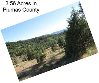 3.56 Acres in Plumas County