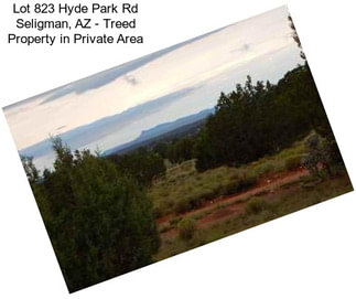 Lot 823 Hyde Park Rd Seligman, AZ - Treed Property in Private Area