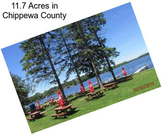 11.7 Acres in Chippewa County
