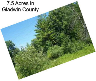 7.5 Acres in Gladwin County