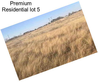 Premium Residential lot 5