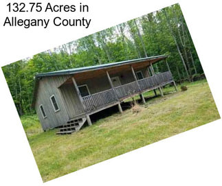 132.75 Acres in Allegany County