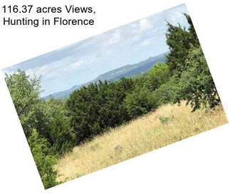 116.37 acres Views, Hunting in Florence