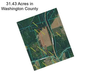 31.43 Acres in Washington County