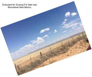 Grassland for Grazing For Sale near Mountainair New Mexico