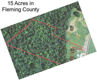 15 Acres in Fleming County