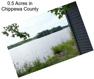 0.5 Acres in Chippewa County