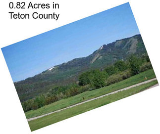 0.82 Acres in Teton County