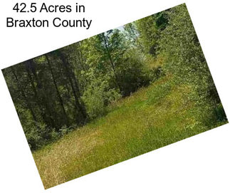 42.5 Acres in Braxton County