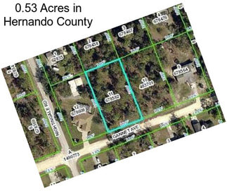 0.53 Acres in Hernando County