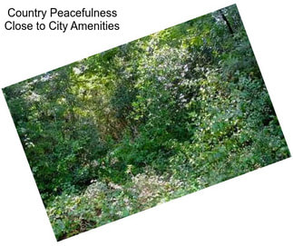 Country Peacefulness Close to City Amenities