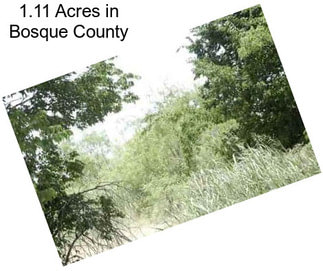 1.11 Acres in Bosque County